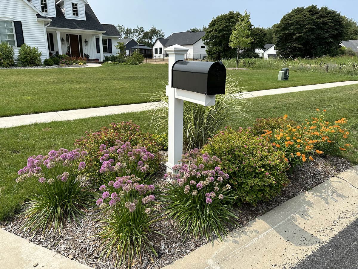 mailbox with flowers planted around it
