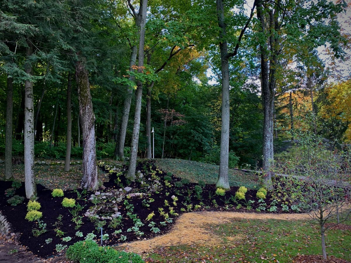 large curved planting area with flowers and trees