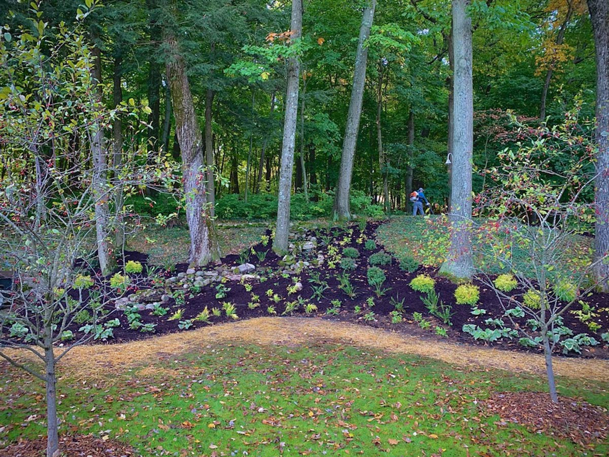 straight on view of large raised planting area with flowers and trees
