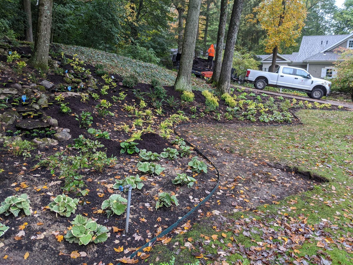 close view of planted bed and flowers with truck in background