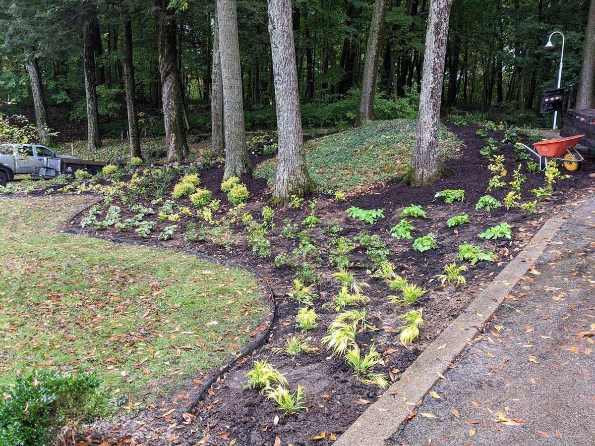 planted mulched area near woodlands